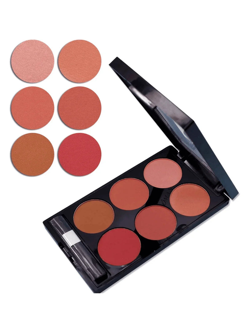 Blush Compacto com Mica T323. - LGF
